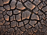 _IMG3554_1080Pixels.jpg