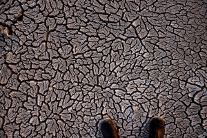 _IMG3564_1080Pixels.jpg