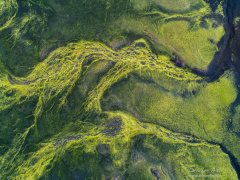 DJI_0043-Edit_1080Pixels_WM