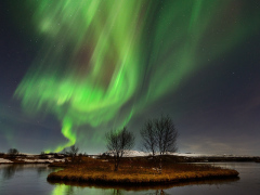 Þingvellir