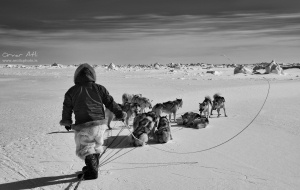 _IMG3645_1080Pixels_BW