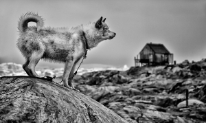 _IMG7667_752Pixels.jpg