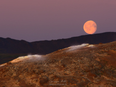 _IMG7626_1920Pixels_WM