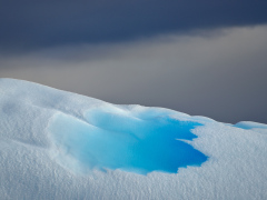 _IMG9310_1080Pixels