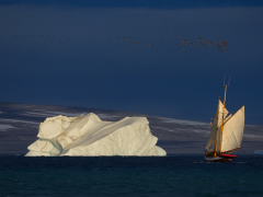_IMG9341_1080Pixels