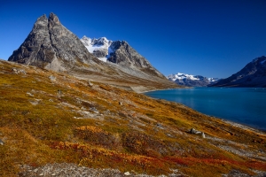_IMG8410_752Pixels
