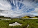 _IMG3445_1080Pixels _IMG3445_1080Pixels
