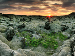Lava Fields