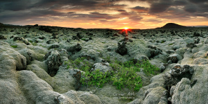 Lava Fields