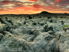 Lava Fire