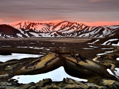 _IMG3987_1080Pixels