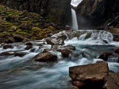 _IMG7431_1920Pixels_WM