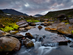 _IMG7457_1920Pixels_WM