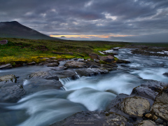 _IMG7466_1920Pixels_WM