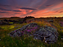 _IMG7737_1920Pixels_WM