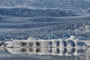 _IMG3495_1080Pixels_WM.jpg