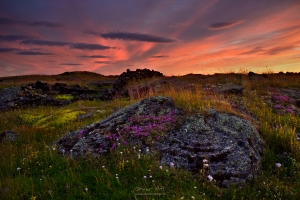 _IMG7737_1920Pixels_WM