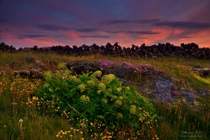 _IMG7749_1920Pixels_WM
