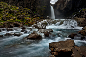 _IMG7431_1920Pixels