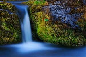 IMG_5382_1080Pixels.jpg