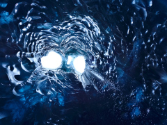 Tunnel Vision