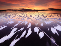 Tiger Lake