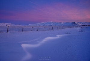 _IMG8875_1080Pixels_WM.jpg