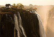 Marsel van Oosten