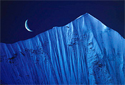 Art Wolfe