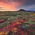 Moods of Autumn