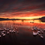 80 New Images Added