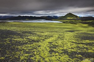 Green moss pastures near Landmannalaugar.