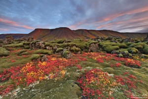 Colorful Lava Field at Reykjanes