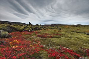 Atmospheric disturbances at Reykjanes