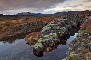 Lava Fields of Þingvellir National Park in Fall Colors