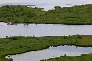 Layers of Greeen