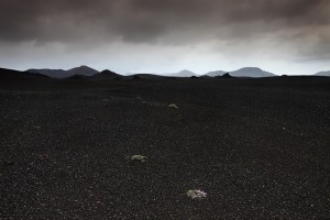 Black Desert