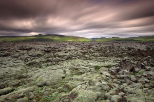Lava Fields