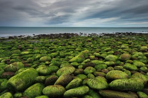 Green Rocks