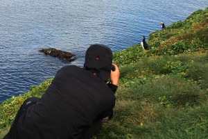 Martin & Puffins
