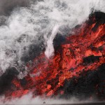 European Wildlife Photographer of the Year 2011
