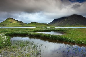 Lush grass at Kýlingavatn.