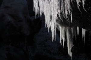 Melting icicles.